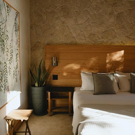 Mya Hotel Valle de Guadalupe Buitenkant foto