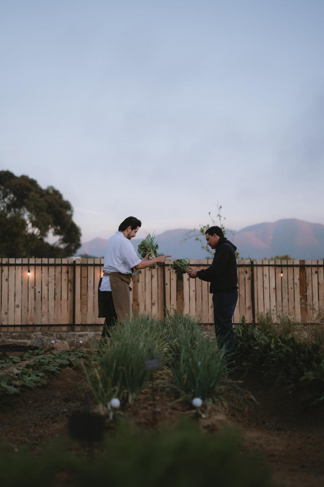 Mya Hotel Valle de Guadalupe Buitenkant foto