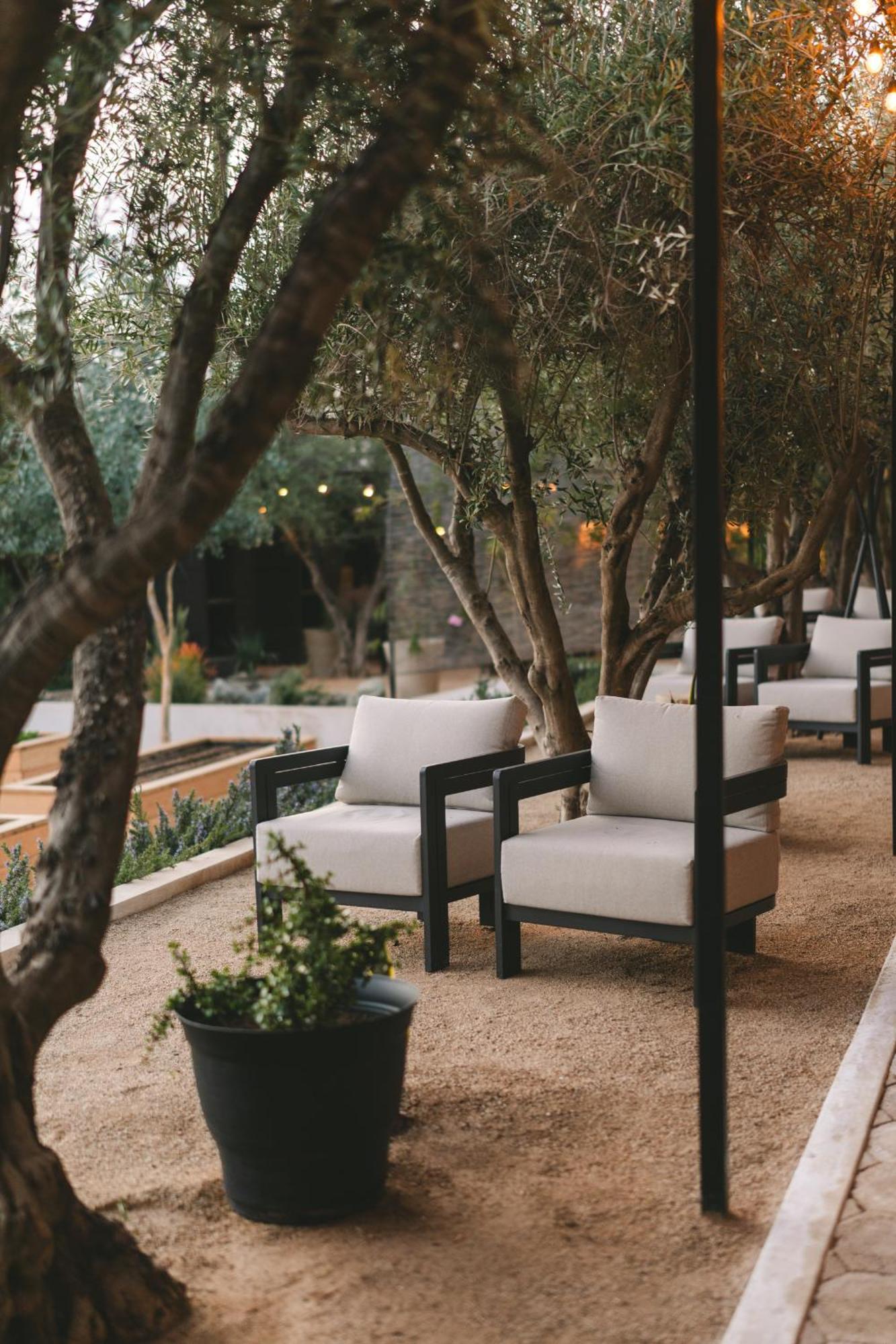 Mya Hotel Valle de Guadalupe Buitenkant foto