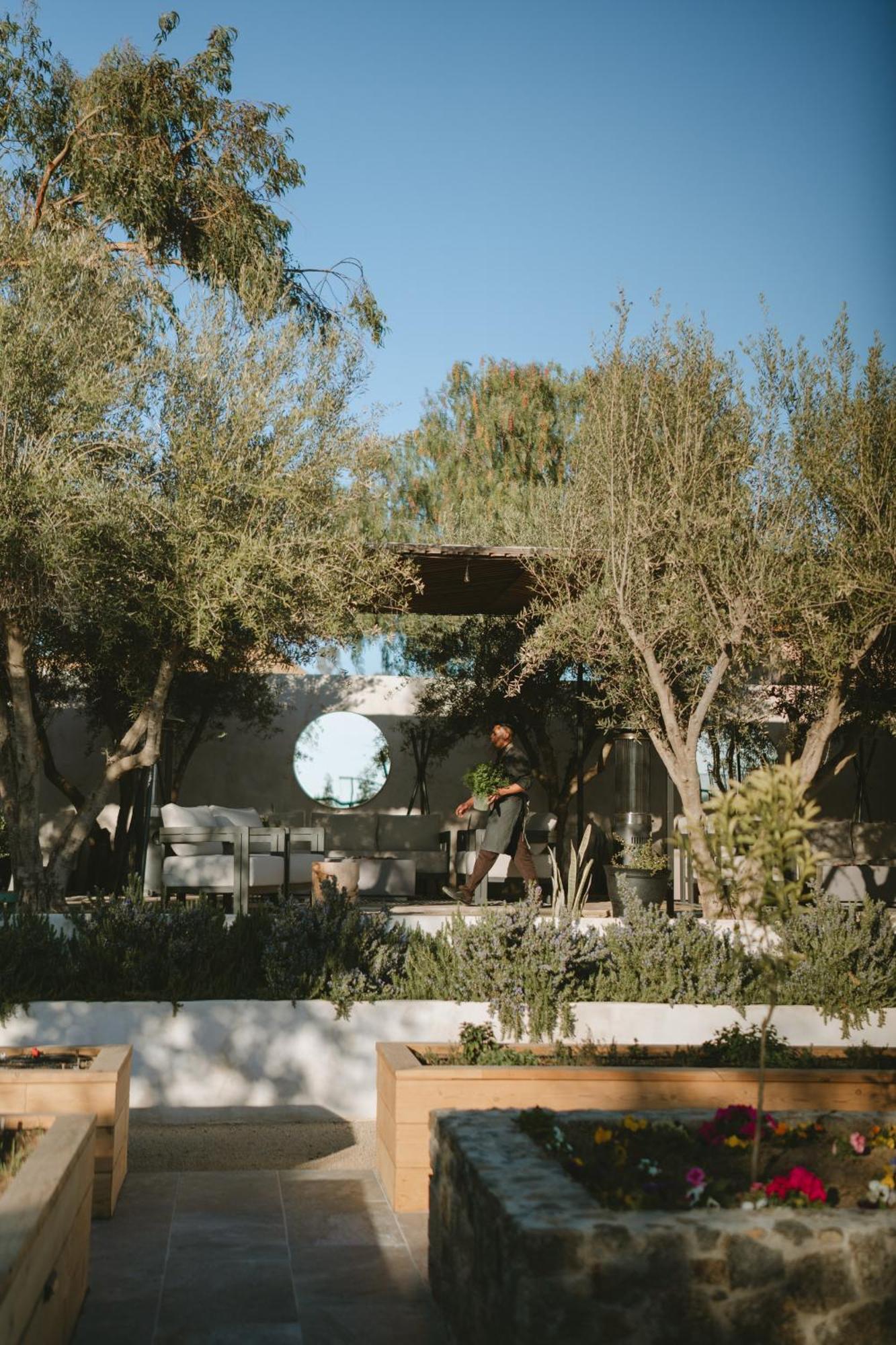 Mya Hotel Valle de Guadalupe Buitenkant foto