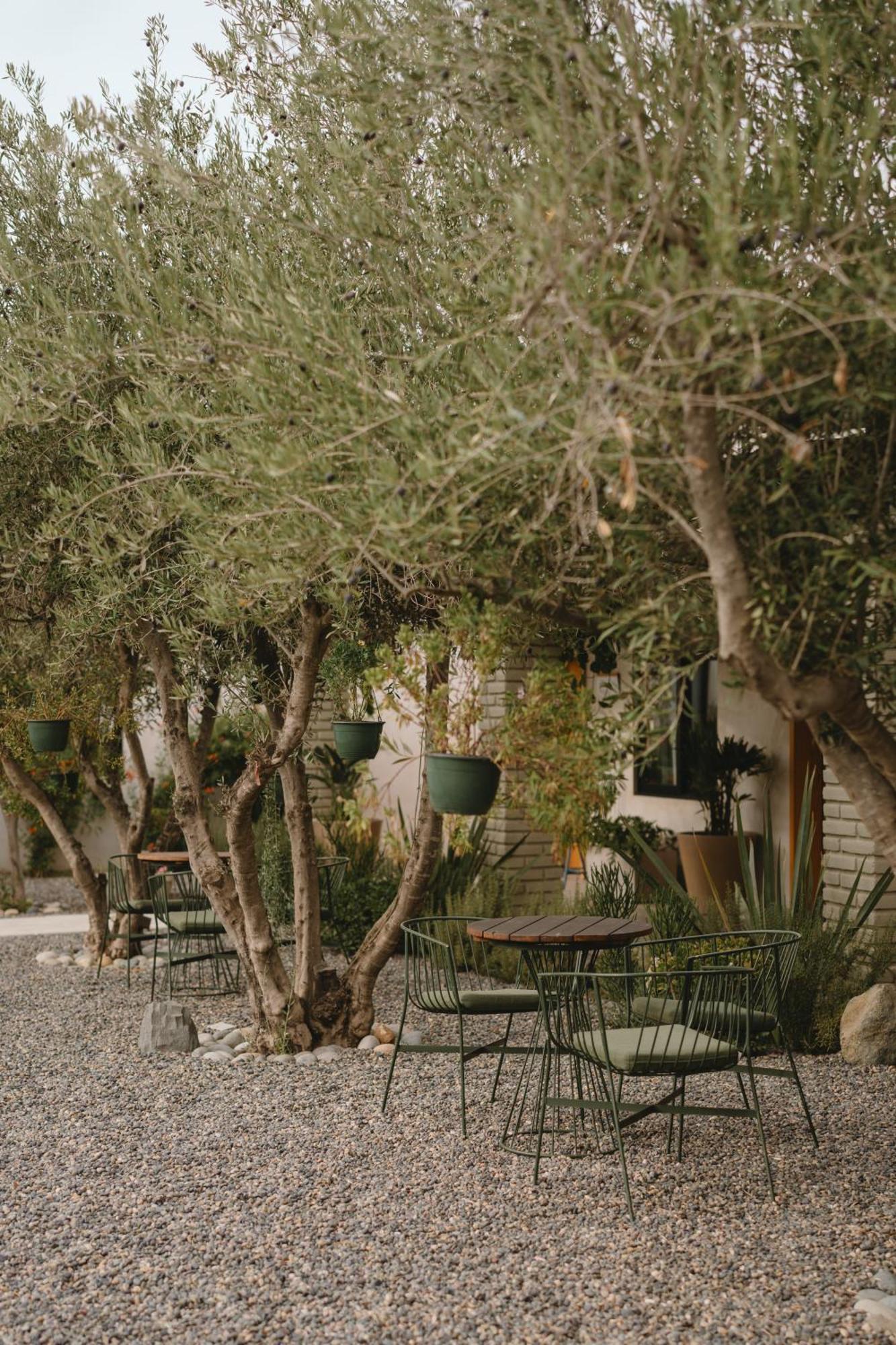 Mya Hotel Valle de Guadalupe Buitenkant foto