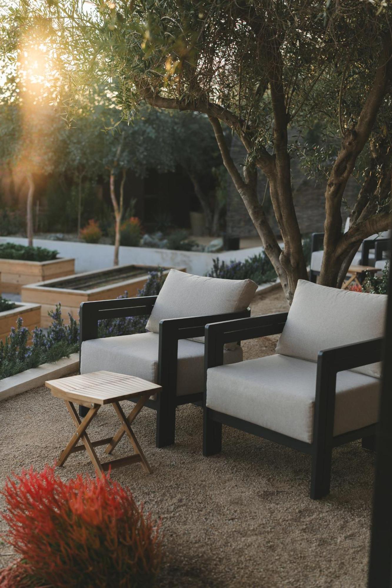 Mya Hotel Valle de Guadalupe Buitenkant foto
